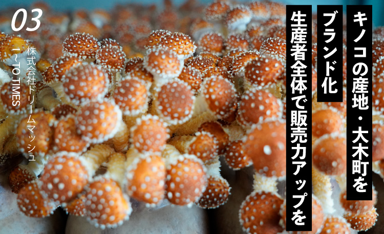株式会社ドリームマッシュ(SP用)