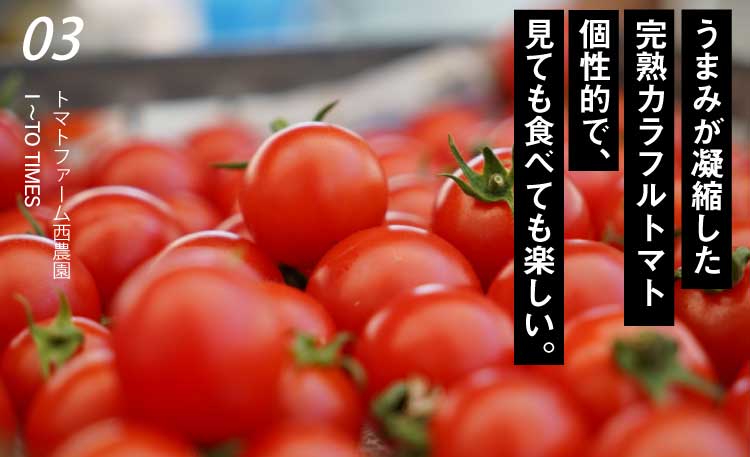 Tomato Farm 西農園(SP用)